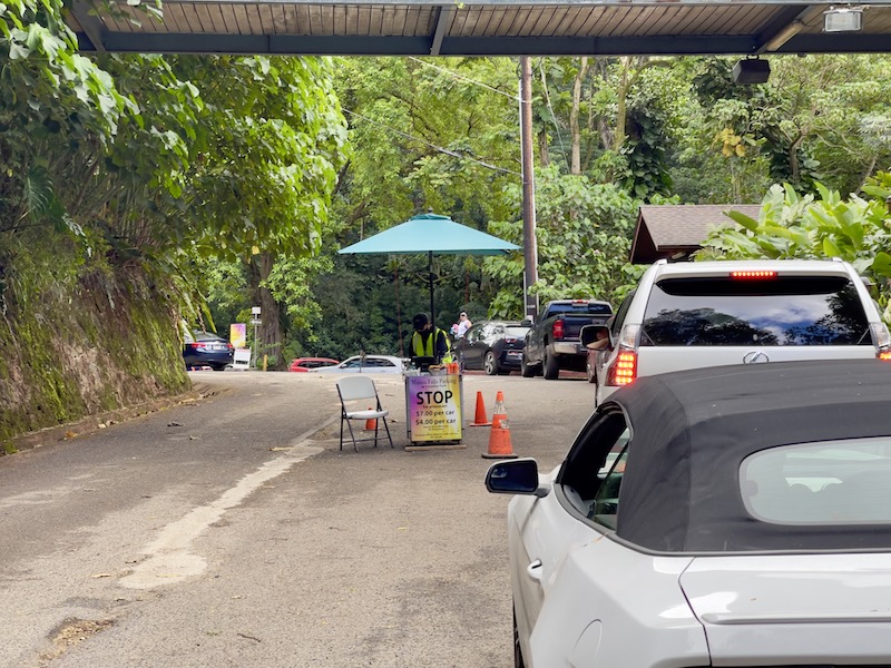 manoa falls parking