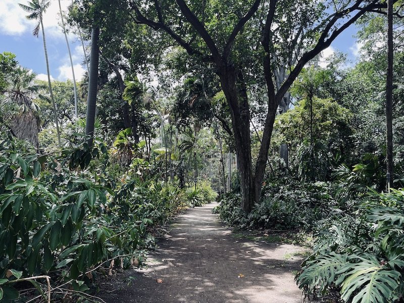 ボタニカル植物園　小径