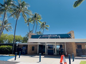 waikiki aquarium