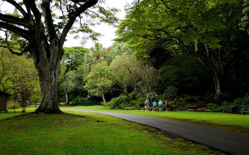 Waimea Valley